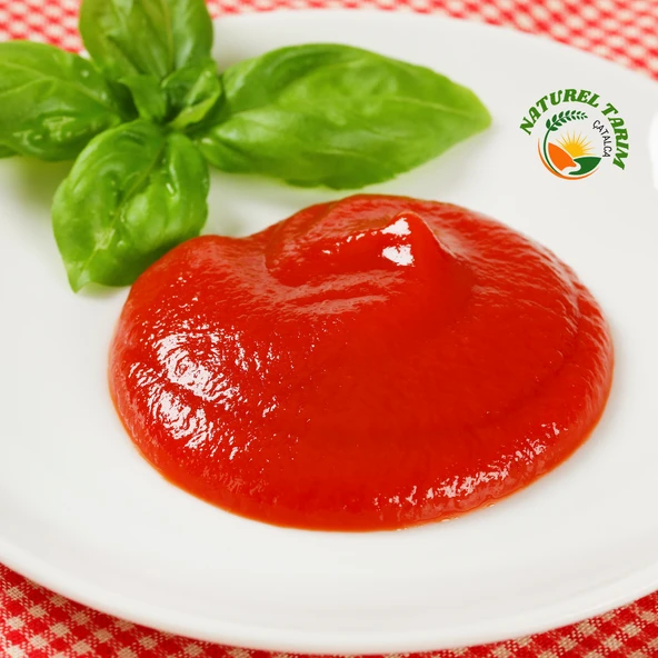 NATUREL KÖY TİPİ KETÇAP ( TATLI ) - 4