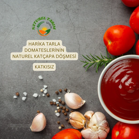 NATUREL KÖY TİPİ KETÇAP ( TATLI ) - 2