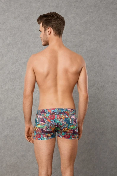 Doreanse Patchwork, Desenli Erkek Boxer 1807 - Resim 2