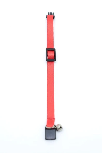 Kedi Düz Boyun Tasması Ps9668 - 3