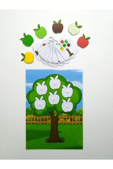 Çocuklar İçin Renkleri Öğretici Eşleştirme Dikkat Hafıza Güçlendirme Oyunu Cırtlı Etkinlik ürün görseli 1