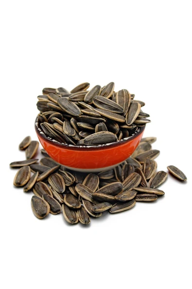 Yaşarbey DAKOTA XL AY ÇEKİRDEĞİ 1000 GR (SEZONLUK TAZE GÖNDERİM-HEDİYELİK DOYPACK)