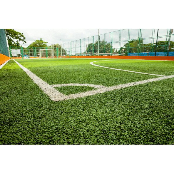 6'lı Karışım İthal Çim Tohumu - Grass Mixture - 6'lı mix - 5 KG - 3