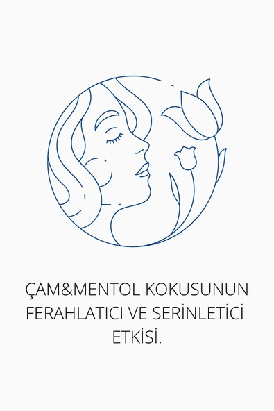 ELLESTY Çam Ve Mentol Erkek Duş Jeli 400 Ml - Resim 7