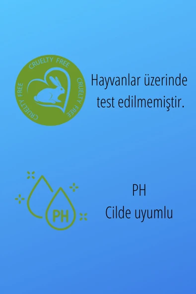 ELLESTY Çam Ve Mentol Erkek Duş Jeli 400 Ml - Resim 2