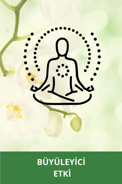 ELLESTY Orkide Duş Jeli 400 Ml - Resim 7