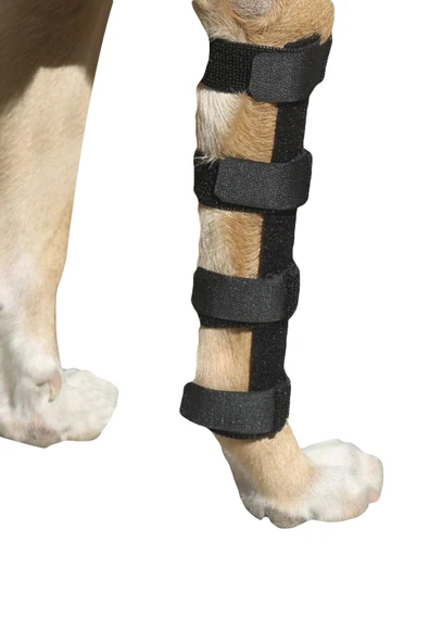 Bandajlı Düz Atel - 1 Numara (5 cm) ürün görseli