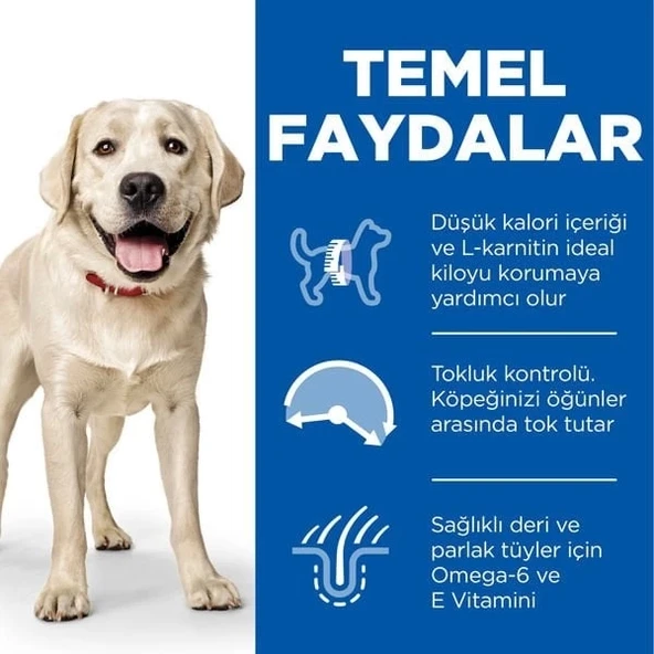Hills Light Büyük Irk Tavuklu Diyet Köpek Maması 14 Kg - 4