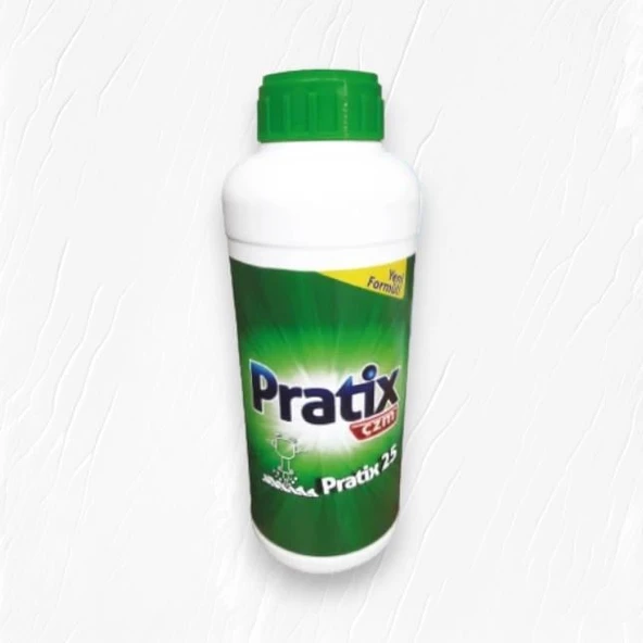 Pratix Çzm Harç & Beton Eritici 1000gr