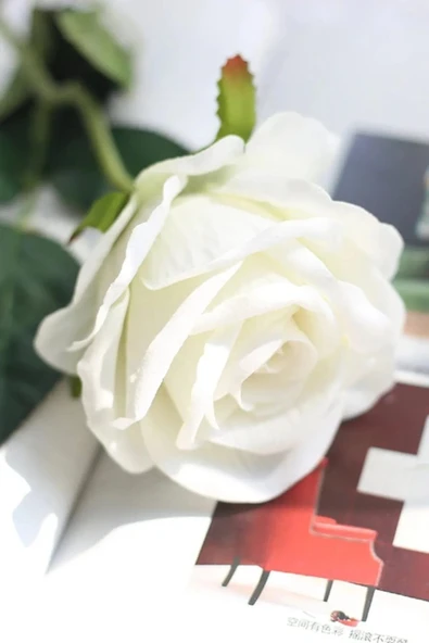 Yapay Gül Dalı 5 ADET Beyaz 50 cm  Kadife Gül sevgililer günü - Resim 2