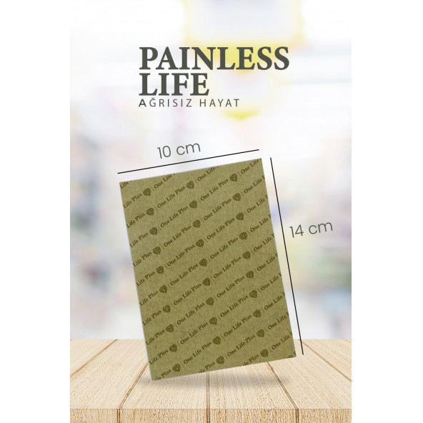 My One Life Painless Life - 4