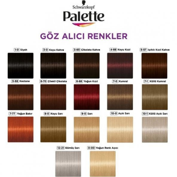 Palette Göz Alıcı Renkler Çikolata Kahve 3-65 Saç Boyası - 6