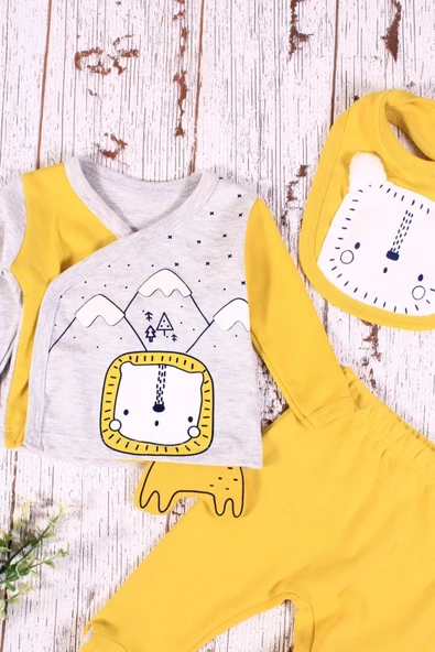 Aslan Figürlü 3'lü Erkek Hastane Çıkışı - Resim 2