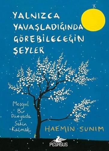 Yalnızca Yavaşladığında Görebileceğin Şeyler ürün görseli 1