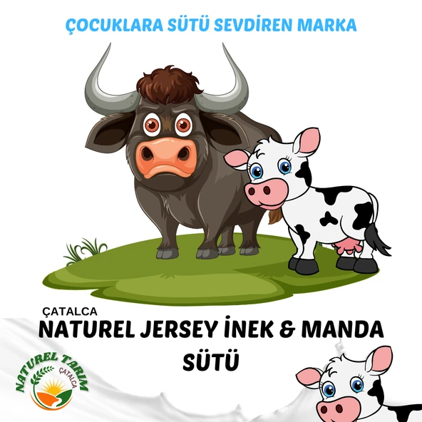 NATUREL MANDA SÜTÜ KAYNATILMIŞ - 5