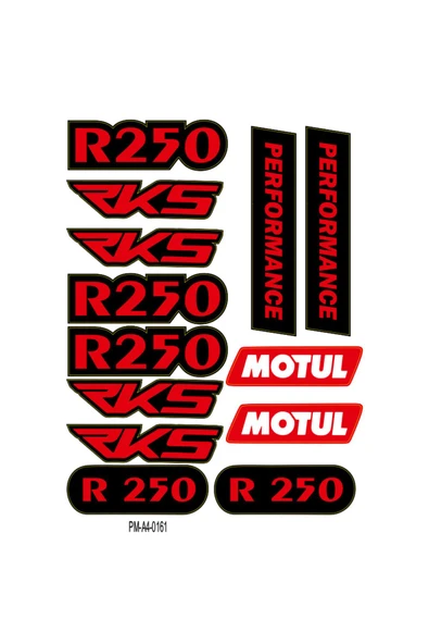 PROMOT RKS R250 TASARIMLI EKİPMAN KASK MOTORSİKLET STİCKER SETİ 02