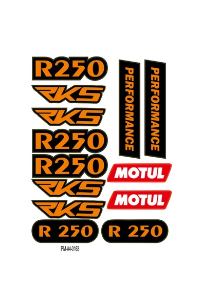 PROMOT RKS R250 TASARIMLI EKİPMAN KASK MOTORSİKLET STİCKER SETİ 04