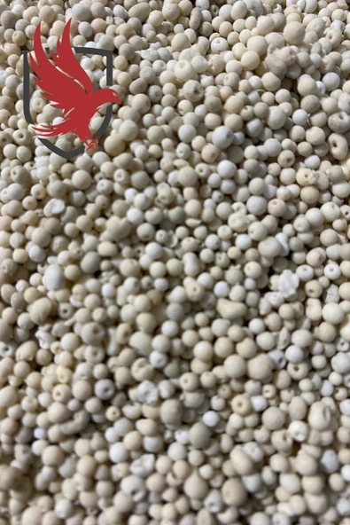 Gemlik Can Kalsiyum Amo.nyum Nit.rat %26N Gübre 50 Kg - Resim 2