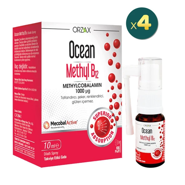 Ocean Methyl B12 Sprey 1000 mg 10 ml 4 Adet