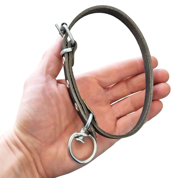 Deri Köpek Boyun Tasması Küçük Irk 48cm Kilitli Karabinalı Tasma - 3