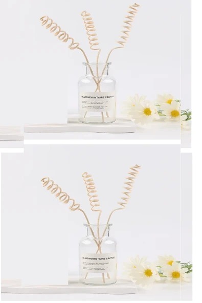 Periboia 3 Tek Adet 3 Model Aromaterapi Koku Dağıtıcı Rattan Şişe Ahşap Difüzör Çubuk (Spiral-Yaprak-Dalgalı) - 3