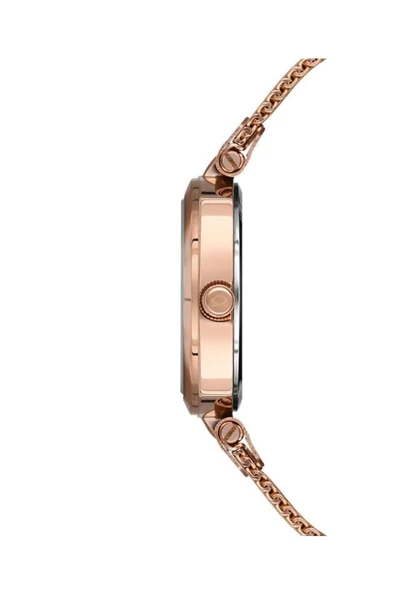 Nc36-392025-rsm Bakır Kadın Kol Saati - 2
