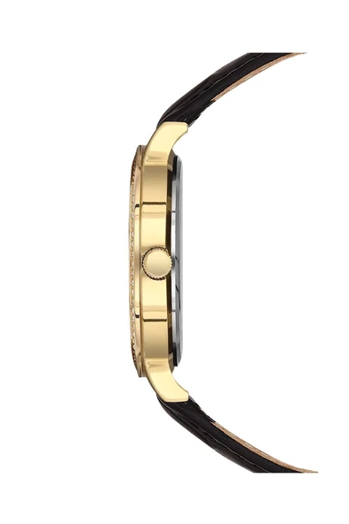 Nc10-3931036-dsl1s Kadın Kol Saati - Resim 2