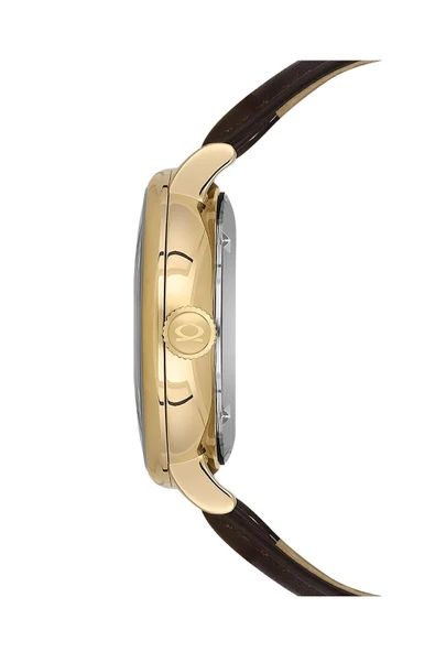 Nc34-29b640-dsl2 Safir Camlı Otomatik Erkek Kol Saati - Resim 3