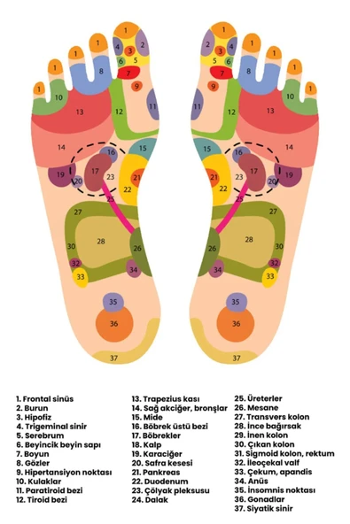 Ayak Masaj Aleti  Foam Roller - 2
