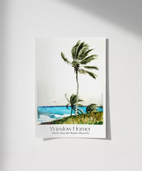 Çerçevesiz Poster Winslow Homer Palmiye Ağacı, Nassau 2