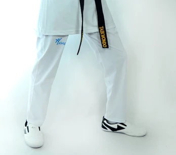 HAŞADO TAEKWONDO AYAKKABISI - 3