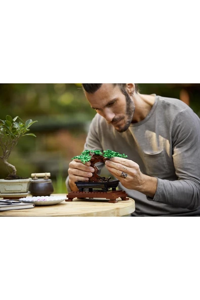 Lego 10281 Creator Expert Bonsai Ağacı - 8