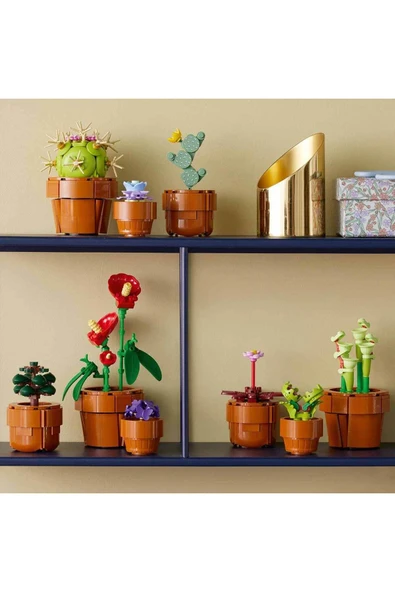 Lego 10329 Icons Minik Bitkiler - Resim 6