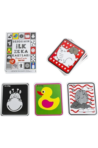 DIYTOY Flash Cards Bebeğimin İlk Zeka Kartları - 2