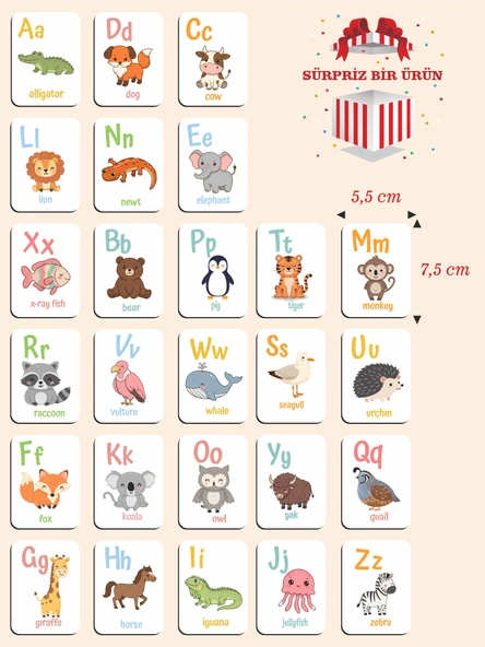 Ahşap Ingilizce Alfabe Kartları - Alfabe Ingilizce Eğitim Seti Ingilizce Öğrenme Kartları Montessori