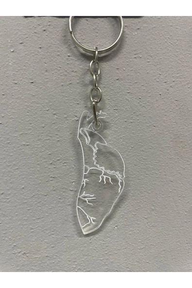 Pleksi Anatomik Kalp Çift Anahtarlığı - 3