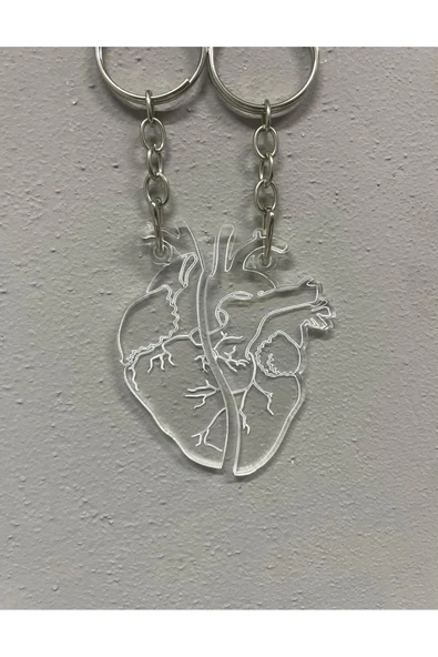 Pleksi Anatomik Kalp Çift Anahtarlığı