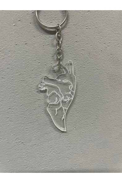 Pleksi Anatomik Kalp Çift Anahtarlığı - 2