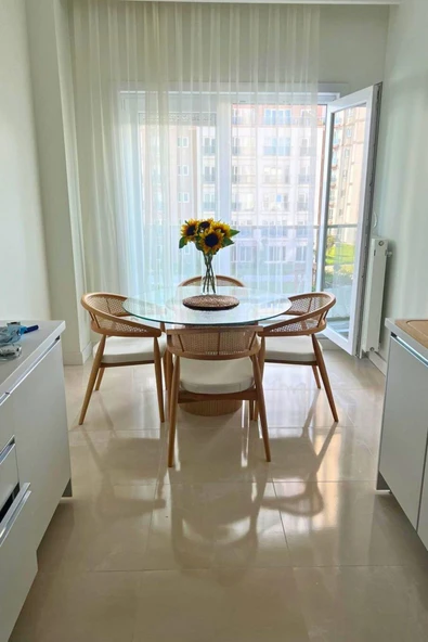 PUCCİ HOME Kayın Ağacı 4 Kişilik Yemek Masa Sandalye Takımı - 2