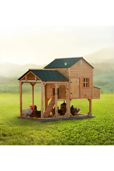 Bi Elat Bi' Lüks Kümes - Resim 2