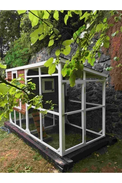 Kemirgen Market Wood And Zanya Ahşap Tavuk Kümesi - Resim 4