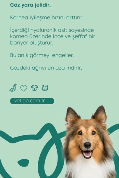 VETİGO Irigo Eye Care Kedi Ve Köpek Göz Bakım Jeli - 5 ml - 2