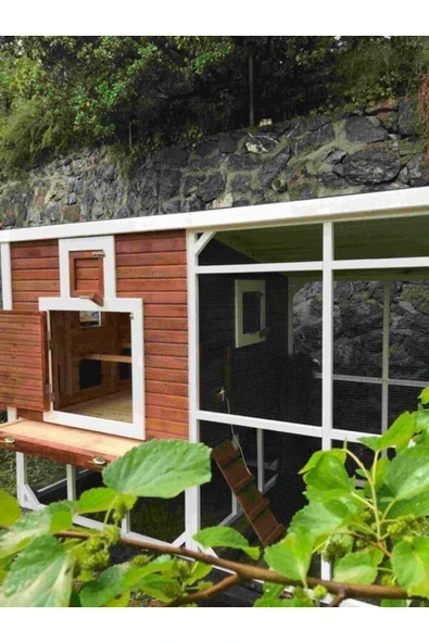 Kemirgen Market Wood And Zanya Ahşap Tavuk Kümesi - Resim 5