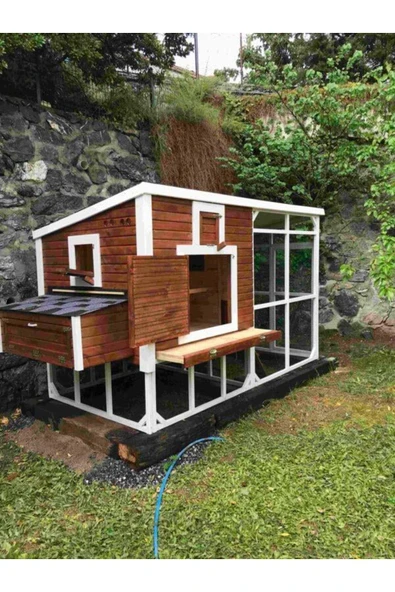 Kemirgen Market Wood And Zanya Ahşap Tavuk Kümesi - Resim 2