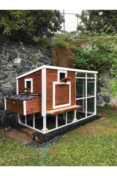 Kemirgen Market Wood And Zanya Ahşap Tavuk Kümesi - Resim 3