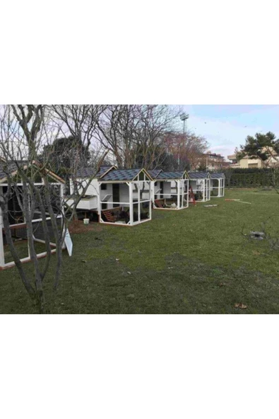 Kemirgen Market Premium Ahşap Tavuk Kümesi - Resim 4