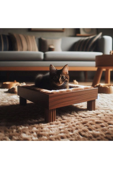 Mdizmir Ayaklı Kedi Evi ( Yatak Dahil Değildir ) Ahşap Kedi Yatağı Tablası Lüks Tasarım Md İzmir