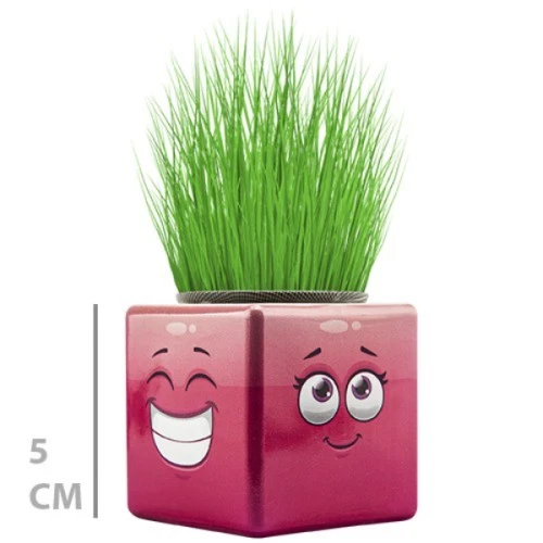 Çim Adam Mini Küp Emoji Figürlü 1 Adet - 2