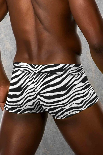 Doreanse Erkek Modal Zebra Çizgili Mini Paça Boxer 1795 - 2
