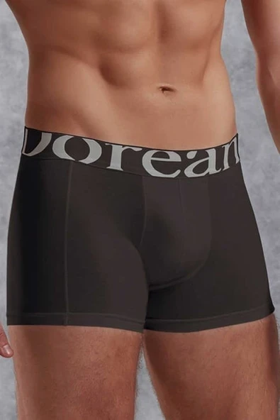 Doreanse Füme Erkek Modal Torbalı Normal Paça Boxer 1777